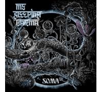 My Sleeping Karma - Soma (2 Lp)
