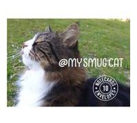 My Smug Cat Notecards by Tom Cox Tom Cox (Auteur)