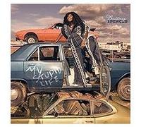 Brittney Spencer - My Stupid Life