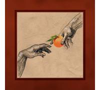 My Ugly Clementine - Vitamin C