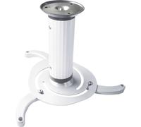 My Wall H16-2WL Support plafond pour projecteur extensible, support de plafond, inclinable, rotatif Distance sol/plafond (max.): 200 mm blanc