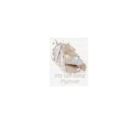 My Wedding Planner: Planning Your Wedding So It Is The Way You Want It - Shoes