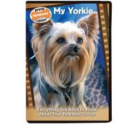 My Yorkie: Everything You Need to Know About Your Yorkshire Terrier [1]