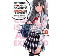 My Youth Romantic Comedy Is Wrong, As I Expected, Vol. 12 (light novel)