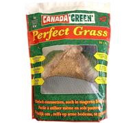 MYBO TV - Semances de gazon - Pousse partout en toutes saisons - Couvre jusqu'à 62m² - Résistant au gel et à la sécheresse - Pousse rapide - Résistant au piétinement - Sac de 1 kg