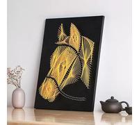 MYBSXKEOZ DIY 3D String Art Kit pour Adultes Débutants Inclure Tout Les Accessoires Et Le Cadre Nécessaires