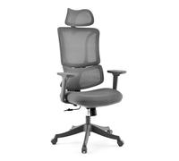 MyBuero Chaise de bureau Ergomy Colore - Ergonomique - Dossier respirant - Support lombaire réglable - Accoudoirs 3D et appui-tête - Gris