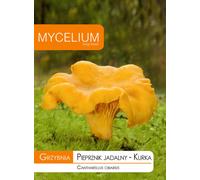 « Mycélium de chanterelle – Culture à domicile de champignons aromatiques comestibles »