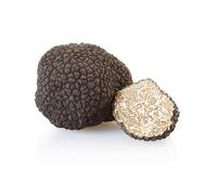 Mycélium de Truffe Blanche d'été Kit de culture champignons 15ml/50ml (Tube, 15ml)