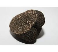 Mycélium de Truffe Noire du Périgord Kit de culture champignons 15ml/50ml (Tube 50ml)