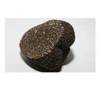 Mycélium de Truffe Noire du Périgord Kit de culture champignons (Tube, 50ml)