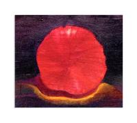 MYCGGDGH Impression sur Toile Decoration Murale Peinture Gracieux et subtil Tableaux Max Ernst Reproduction sur Toile Art Contemporain pour Salon Chambre Salle de Bains 90x70cm Sans cadre