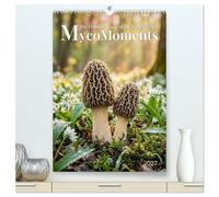 MycoMoments (High Quality Premium Wall Calendar 2027 DIN A2 portrait),CALVENDO 12 Month Wall Calendar: The Hidden Magic of the Forest Floor