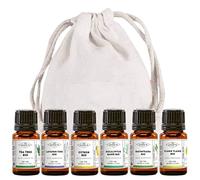 MyCosmetik - Pack indispensable pour la diffusion - Lot de 6 huiles essentielles BIO - Tea Tree - Lavande Fine - Citron - Eucalyptus Radié - Ravintsara - Ylang Ylang - 6 x 5 ml + Pochon 100% coton