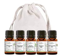 MyCosmetik - Pack sélection hiver - Lot de 5 Huiles essentielles BIO à diffuser - Ravintsara - Eucalyptus Radié - Menthe Poivrée - Niaouli - Pin Sylvestre - 5 x 5 ml + Pochon 100% coton