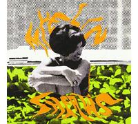 Myelin Sheaths - Stackticon