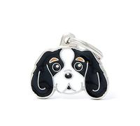 MyFamily Médaille pour chien personnalisée, en forme de chevalier King Tricolore, plaque signalétique pour chien avec gravure gratuite, émaillée à la main en métal, collection Friends