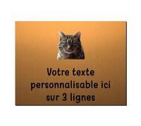 Mygoodprice Plaque décorative Chat 1 en Aluminium Personnalisable 20x15cm ou 30x20cm Or Brossé