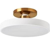 MYGZNDDEV Ceiling Light Round Ceiling Lamp Led Chandelier Flat Light Three-Color Dimmingaron Semi Fmount Modern Metal Acrylic Shade Minimalist Indoor Balcony/C/40Cm(B,30Cm)