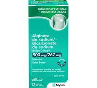 Mylan Sas Alginate Sodium/Bicarbonate Sodium Mylan Conseil 500mg/267mg Menthe Sans Sucre 12 Sachets
