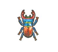 MYMERCERIE Ecusson thermocollant Insecte scarabée 6x4cm