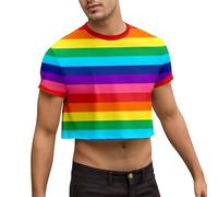 Mymyguoe LGBTQ T-shirt arc-en-ciel sexy pour homme T-shirt gay drôle Crop Top Rayures Col rond Manches courtes Haut court LGBTQ Vêtements Arc-en-ciel T-shirts à rayures Crop Tops LGBT Pride Shirt, 01