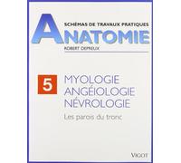 Myologie, angéiologie, névrologie. Les parois du tronc