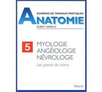 Myologie, angéiologie, névrologie. Les parois du tronc