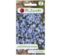 Myosotis des Alpes - bleu