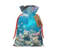 MyPiky Sacs cadeaux de Noël avec imprimé biologique océan Pacifique Sac de rangement Sac cadeau avec cordon de serrage pour fête vacances