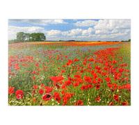 MyPuzzle Champ De Coquelicots Près De Schwerin - Premium 1000 Pièces Puzzle - Collection spéciale MyPuzzle de Puzzle Galaxy