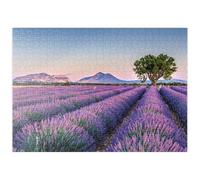 MyPuzzle Champ De Lavande en Provence, France - Premium 500 Pièces Puzzle - Collection spéciale MyPuzzle de Starnberger Spiele
