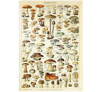 MyPuzzle Champignons - Champignons pour Tous, Poster Art Vintage, Adolphe Millot - Premium 1000 Pièces Puzzle - Collection spéciale MyPuzzle de Havana Puzzle Company
