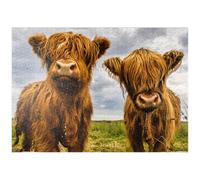 MyPuzzle Deux Adorables Vaches des Highlands - Premium 1000 Pièces Puzzle - Collection spéciale MyPuzzle de Puzzle Galaxy