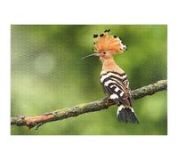 MyPuzzle Huppe Fasciée - Oiseau De L'année 2022 - Premium 1000 Pièces Puzzle - Collection spéciale MyPuzzle de Starnberger Spiele