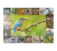 MyPuzzle Oiseaux De L'année - Collage N°8 Motif Principal : Martin-pêcheur - Premium 1000 Pièces Puzzle - Collection spéciale MyPuzzle de Starnberger Spiele