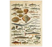 MyPuzzle Poisson pour Tous, Affiche d'art Vintage, Adolphe Millot - Premium 100 Pièces Puzzle - Collection spéciale MyPuzzle de Havana Puzzle Company