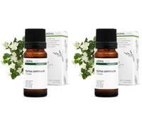 Myrte Vert BIO (Myrtus communis - CT cineol) - 10 mL - Huile Essentielle Chémotypée et Certifiée AB - Aroma Labs - Made in France