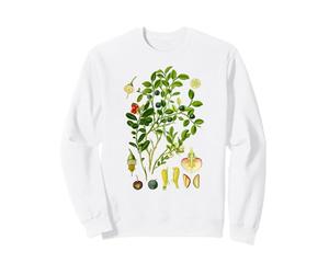 Myrtilles Botanique Vintage Forest Berry Fresh Style Sweatshirt