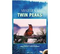 Mystères à Twin Peaks Camille Mathieu (Auteur), Johan Chiaramonte (Auteur)