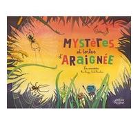 Mystères et toiles d'araignées ! Fleur Daugey (Auteur), Emilie Vanvolsem (Illustration)