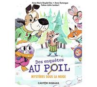 Mystères sous la neige