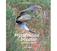 Mystérieuse bécasse Elle passe et séduit - Jean-Michel Desplos - Sud-Ouest - broché - Guide