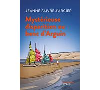 Mystérieuse disparition au banc d'Arguin