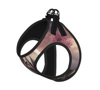 Mysterious Fantasy Ensemble harnais réfléchissant réglable pour chats, chiens et petits animaux de compagnie, gilet de marche en maille douce et respirante avec laisse anti-fuite