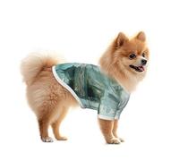 Mysterious Forest Lagoon Chemise en maille légère et respirante à séchage rapide pour petits chiens