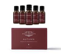 Mystic Moments Pack de démarrage d'huiles parfumées - Huiles d'automne - 5 x 10 ML