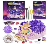 Mystooy Kit de Fouille pour Enfant, 1Géodes et 13 Cristaux et Pierres Précieuses, Fossiles et Minéraux Naturels, expériences sur Les pour Les Enfants à partir de 6 Ans, Sciences Education Jouets