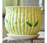 MYUYEE Grand Pot de Fleurs d'intérieur en céramique avec Plateau Rond créatif Simple Vert Carotte Viande pour Table (A),Un