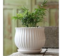 MYUYEE Grand Pot de Fleurs d'intérieur en céramique avec Plateau Rond créatif Simple Vert Carotte Viande pour Table (G),G